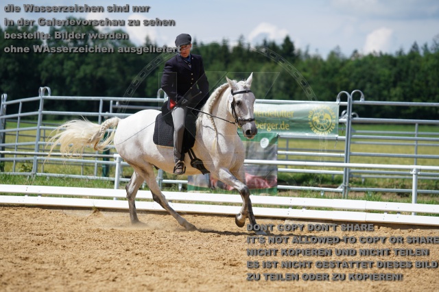 s_K3F04684.JPG